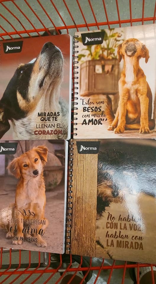 Cuadernos Norma Perros