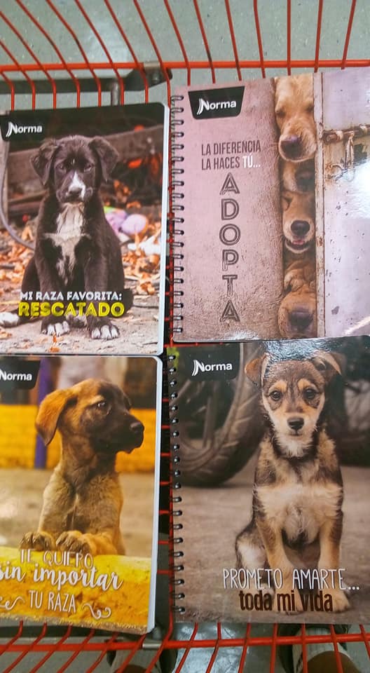 Cuadernos Norma Perros 