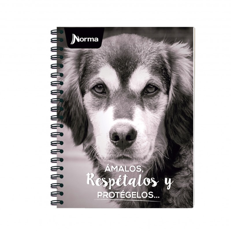 Cuadernos Norma Perros