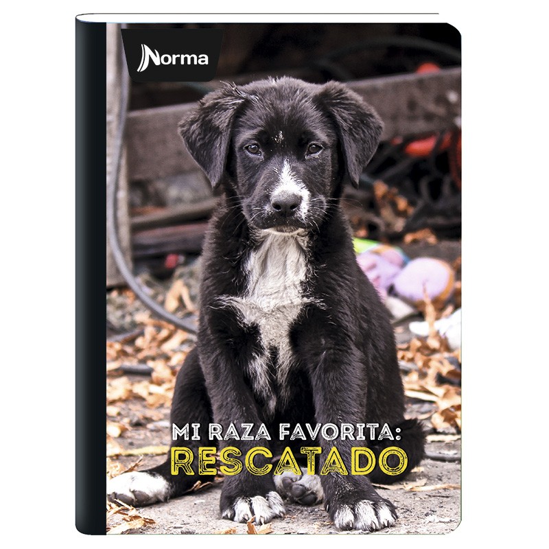 Cuadernos Norma Perros