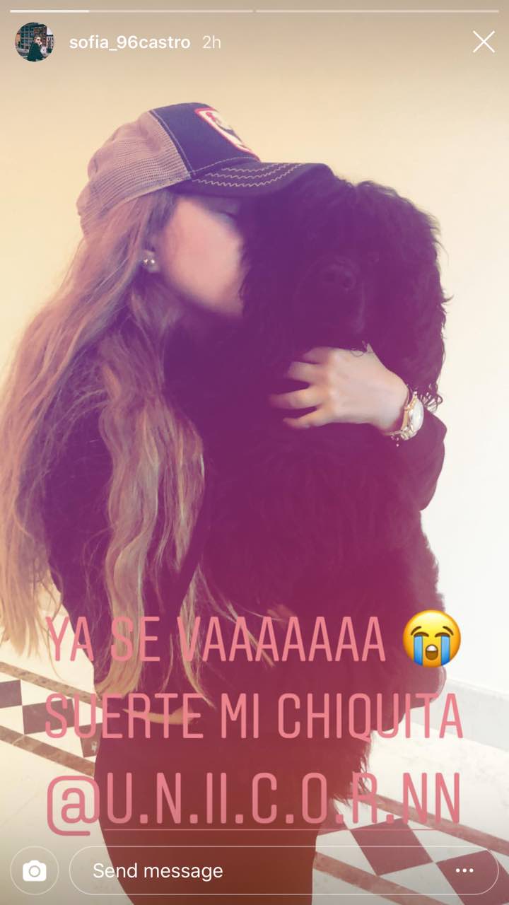 Despiden a fernanda castro angelica rivera