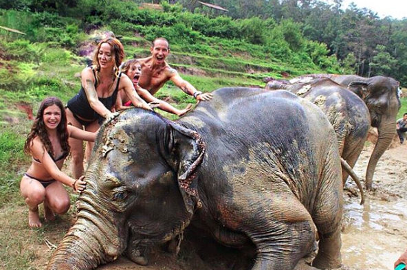fotos-andrea-legarreta-posando-bikini-tailandia-elefante-instagram