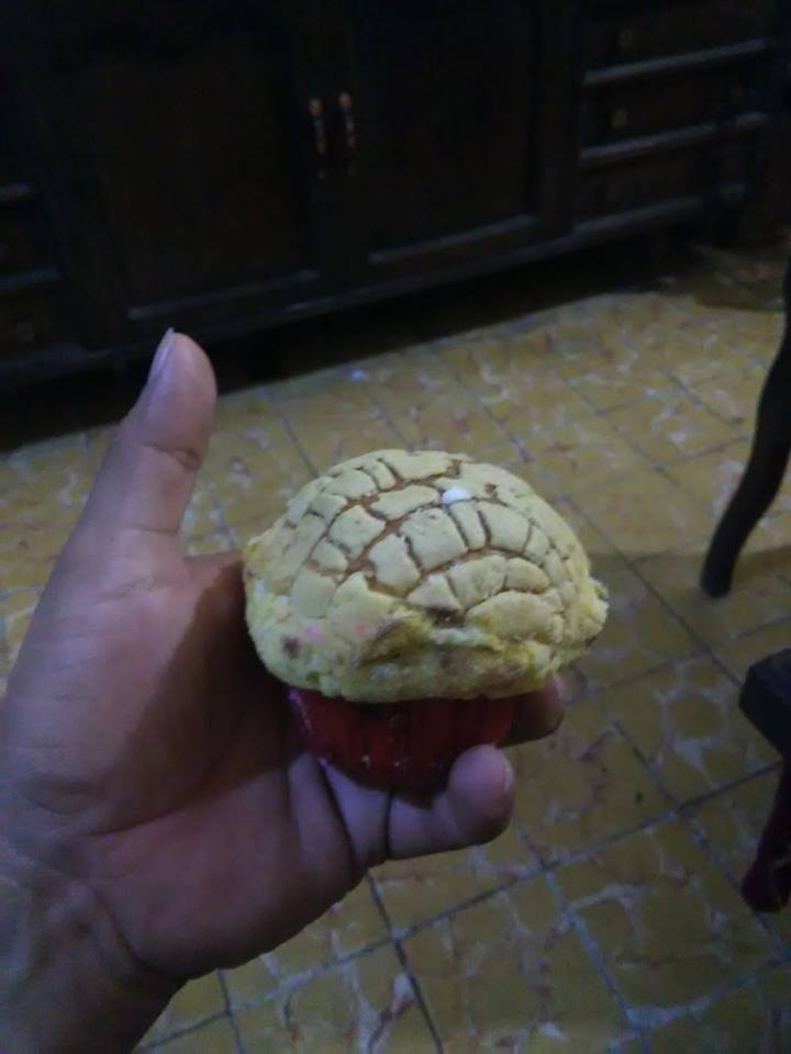 Inventan manteconcha