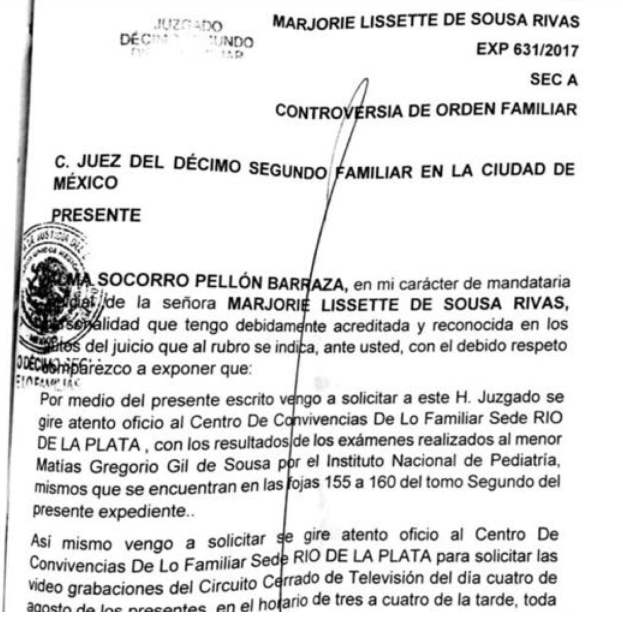 documentos-legales-marjorie-de-sousa-compartio-con-medios-de-comunicacion-sobre-estado-de-salud-hijo-matias-gregorio