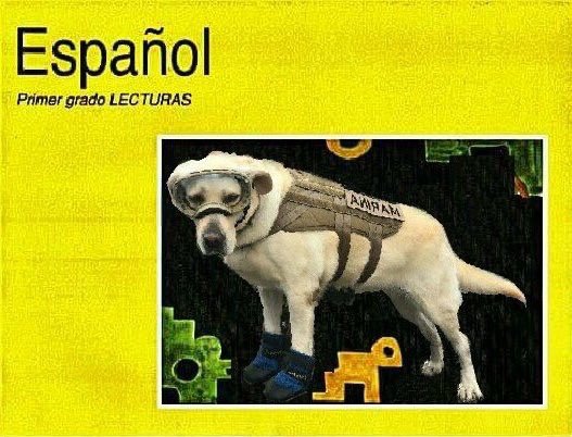 Memes libros de la sep