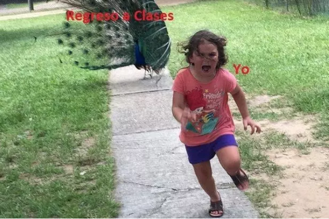 memes-regreso-a-clases