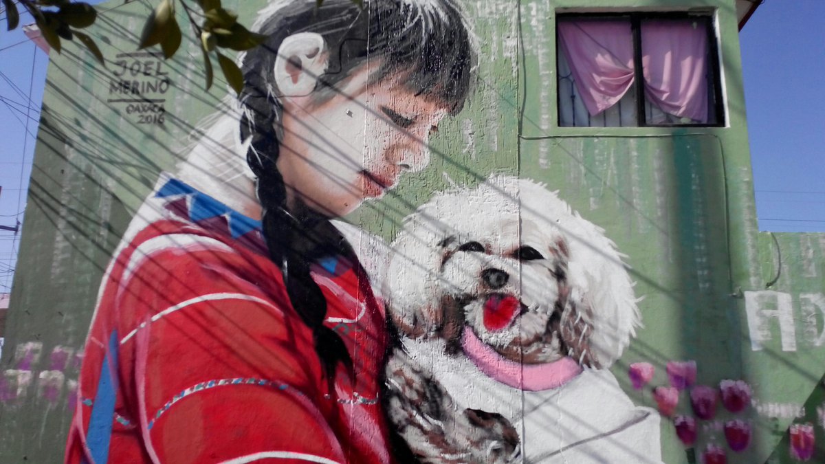 Joel Merino Joven Artista