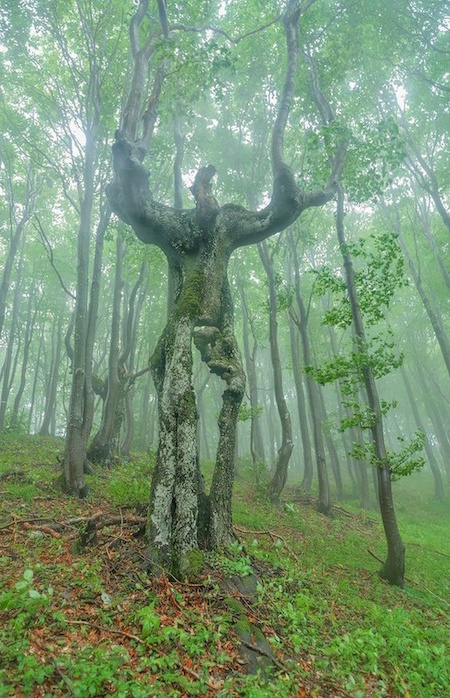 Fotos donde la realidad superó a Photoshop