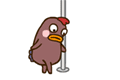 Cacha a su esposo con stripper