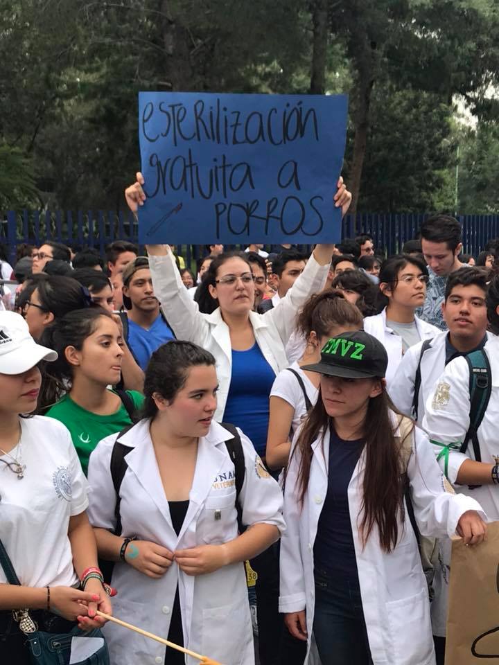 Los mejores carteles de la marcha de la UNAM
