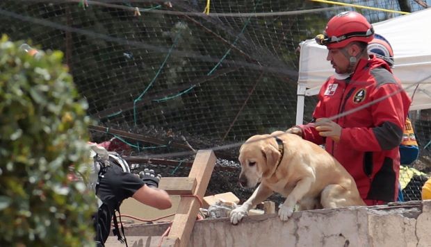 Recordamos a los hÃ©roes del 19S
