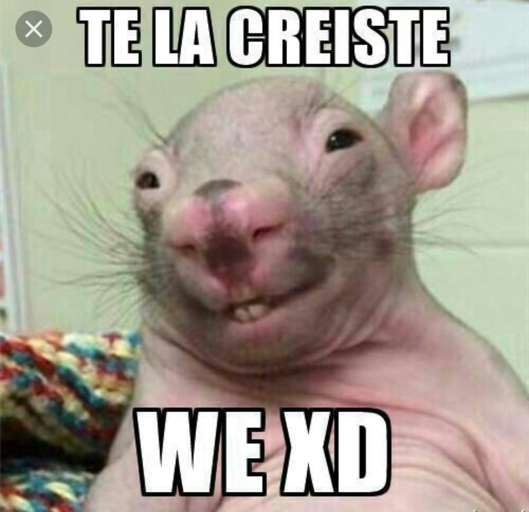 Te la creíste we