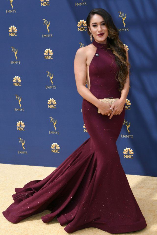 Alfombra roja emmy awards 2018