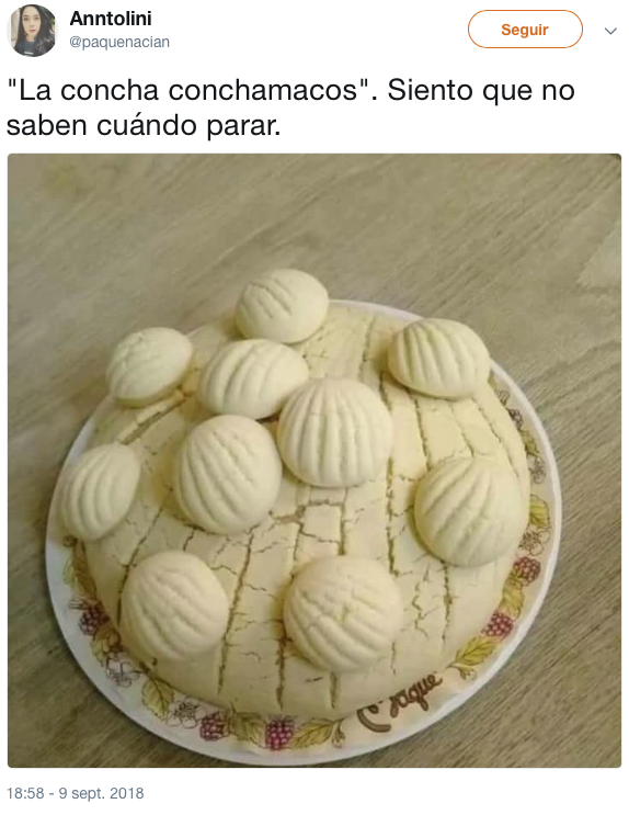 conoce a la concha que trae todo y bendiciones