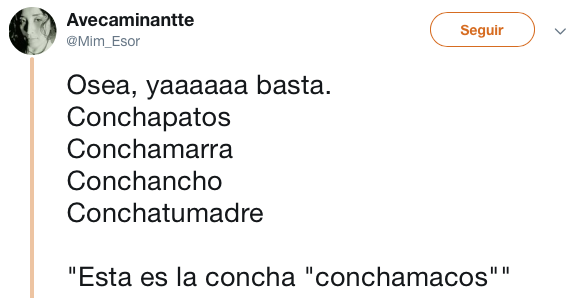 conoce a la concha que trae todo y bendiciones