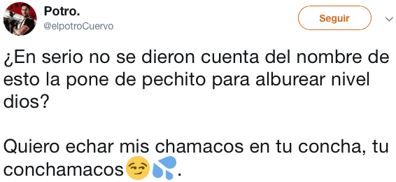 conoce a la concha que trae todo y bendiciones