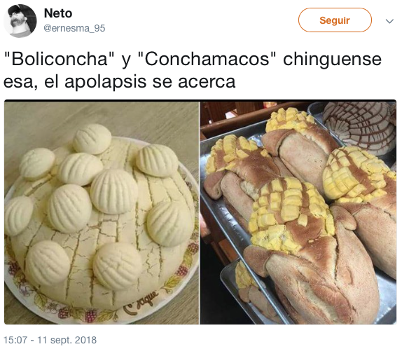 conoce a la concha que trae todo y bendiciones