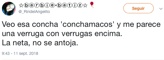 conoce a la concha que trae todo y bendiciones