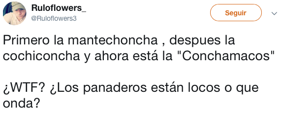 conoce a la concha que trae todo y bendiciones