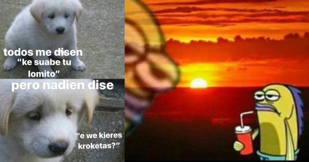 Memes para que por fin te pregunten si estÃ¡s bien