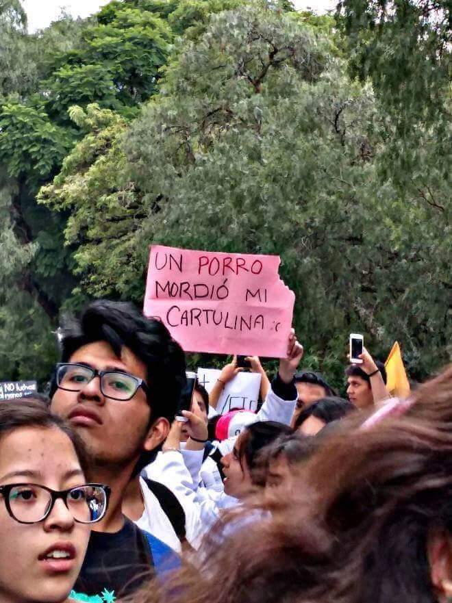 Los mejores carteles de la marcha de la UNAM