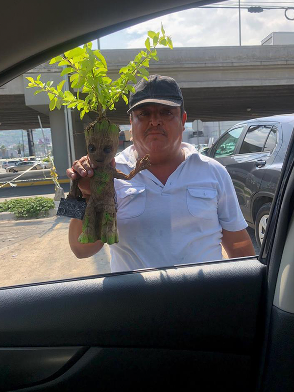 Estas macetas de Groot van a hacer que quieras ser guardián