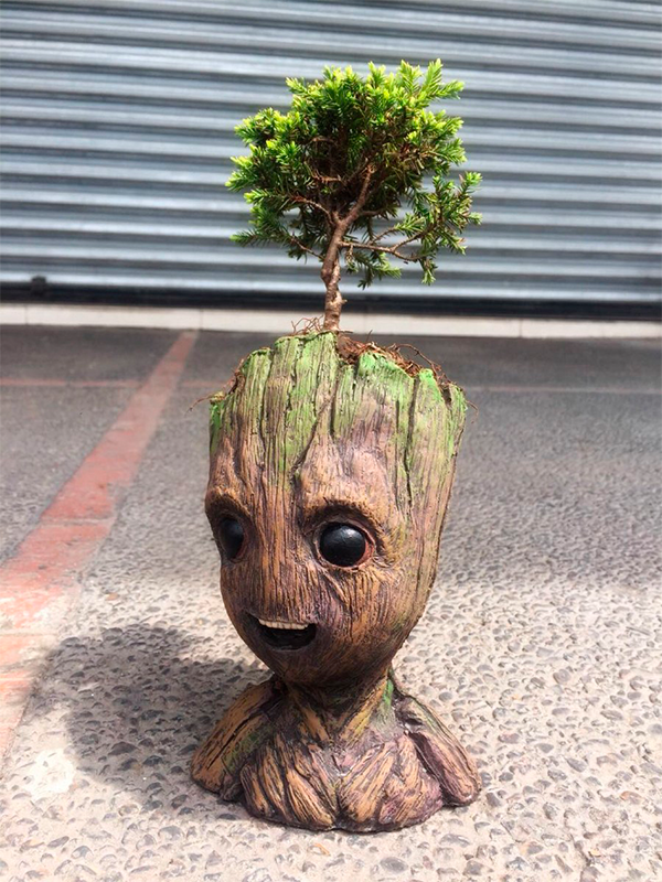 Estas macetas de Groot van a hacer que quieras ser guardián