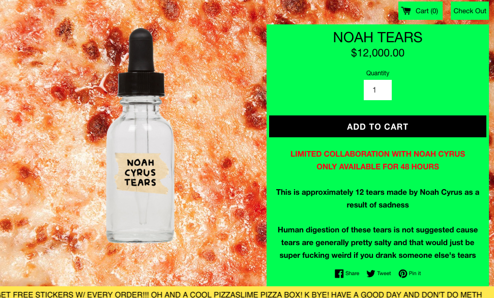 store-pizzaslime-noah-cyrus-vende-lagrimas-12-mil-1