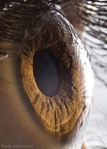 Ojos humanos