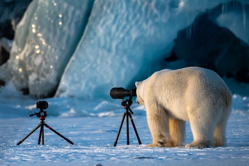 Las fotos más divertidas de animales durante 2018