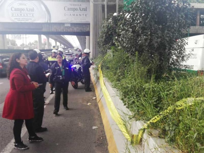 desquician periférico para ver plantas de mariguana