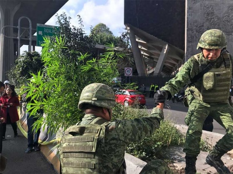 Retiran Mariguana del Periférico