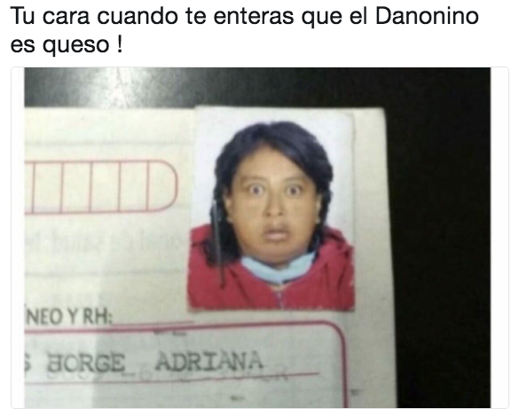 Memes para superar la traición de que el Danonino es queso