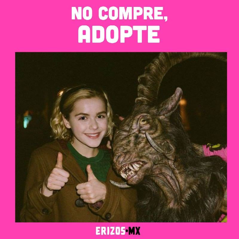 Memes de la nueva serie de Sabrina, la bruja adolescente