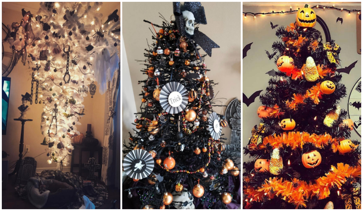 Árboles Halloween Navidad Instagram Redes Sociales