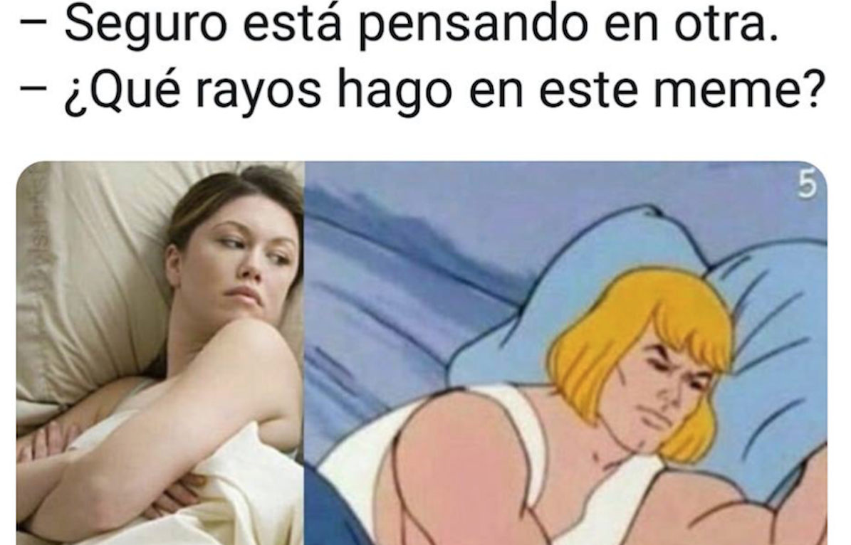 Memes Erizos Mal Puerco 12 Galería