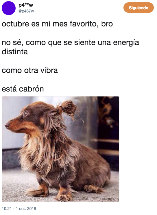 Memes para recibir a Octubre, el mejor mes del año