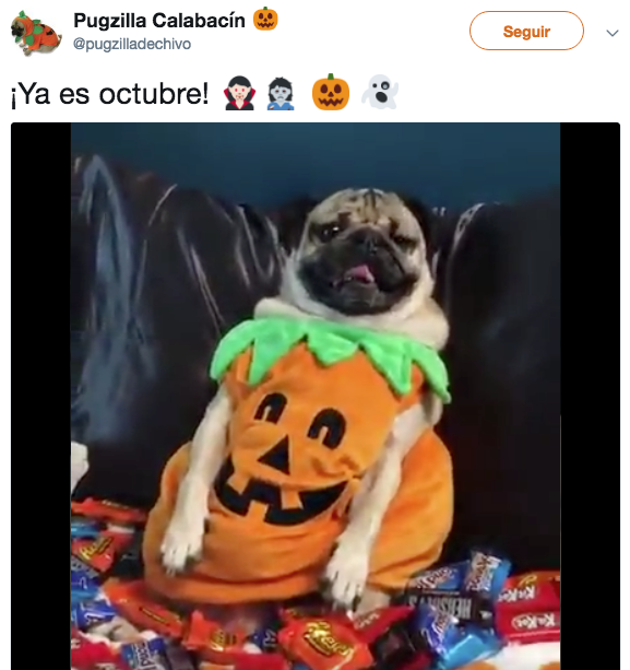 Memes para recibir a Octubre, el mejor mes del año