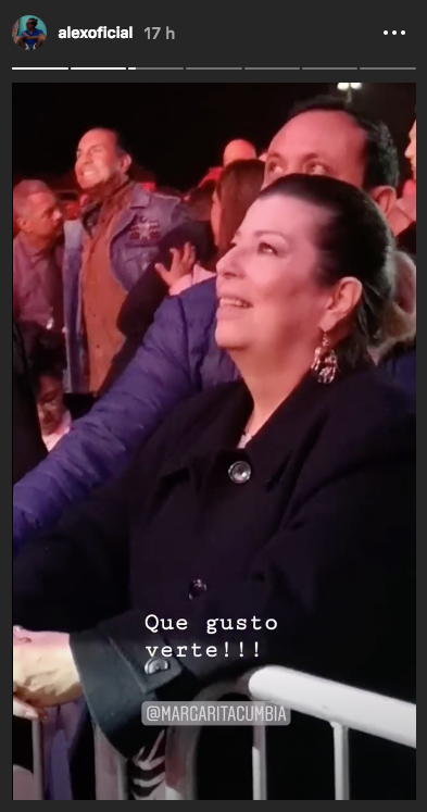 Alejandro Fernandez drogado en concierto