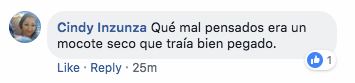 Alejandro Fernandez drogado en concierto