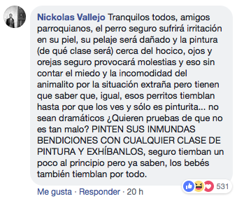 Mujer pinta a su perro como alebrije