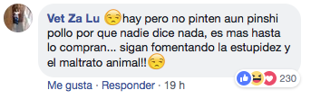 Mujer pinta a su perro como alebrije