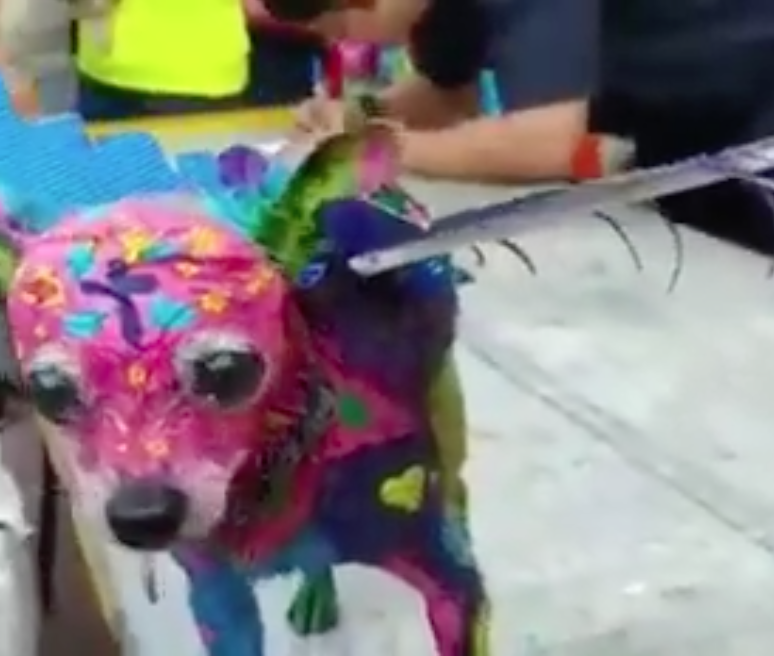 Mujer pinta a su perro como alebrije