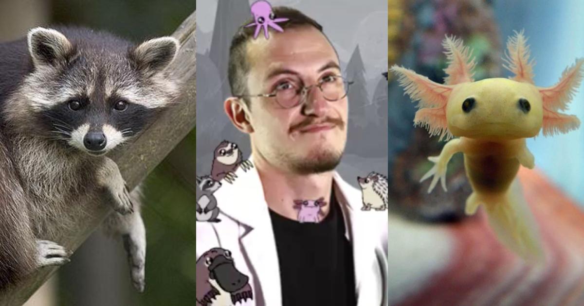 Los 5 mejores videos de animales del Dr. PangolÃ­n