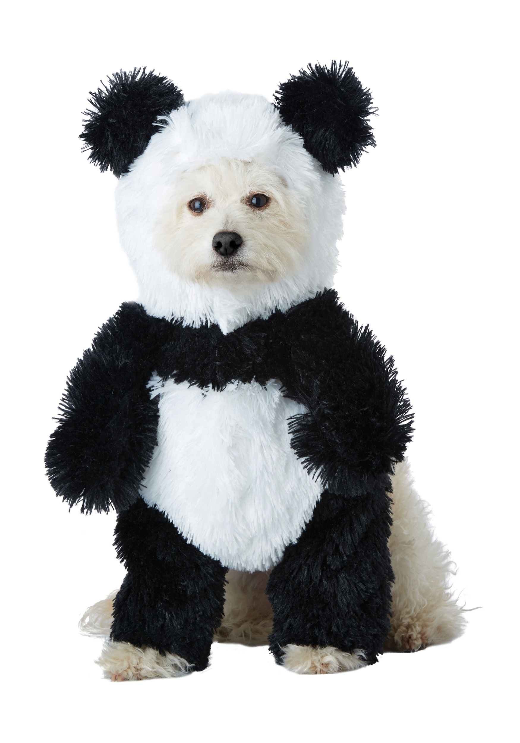Disfraces para perros de Halloween