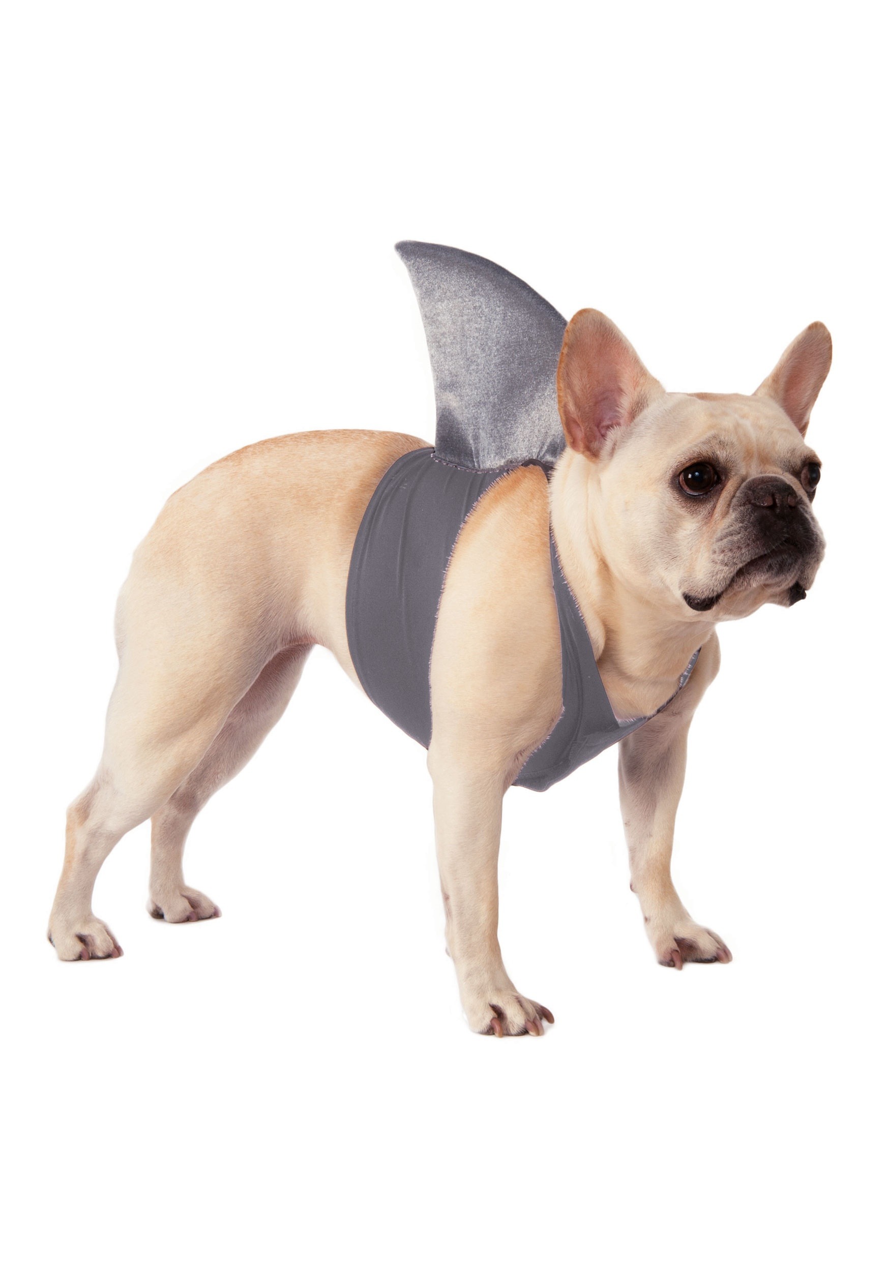 Disfraces para perros de Halloween
