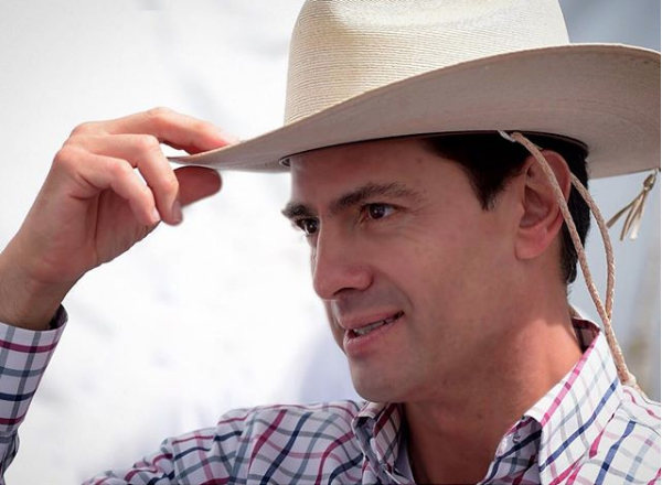 enrique peña nieto responde en Instagram