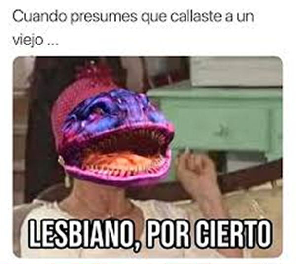 Cállese viejo lesbiano meme