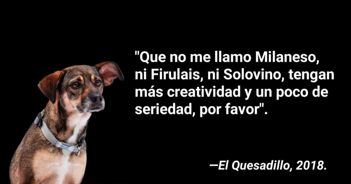 Memes Que No Me Llamo, Memes No Me Llamo, Memes Me Llamo, Memes Milaneso, Memes, Memes Halloween