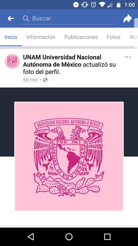 Memes de chicas pesadas